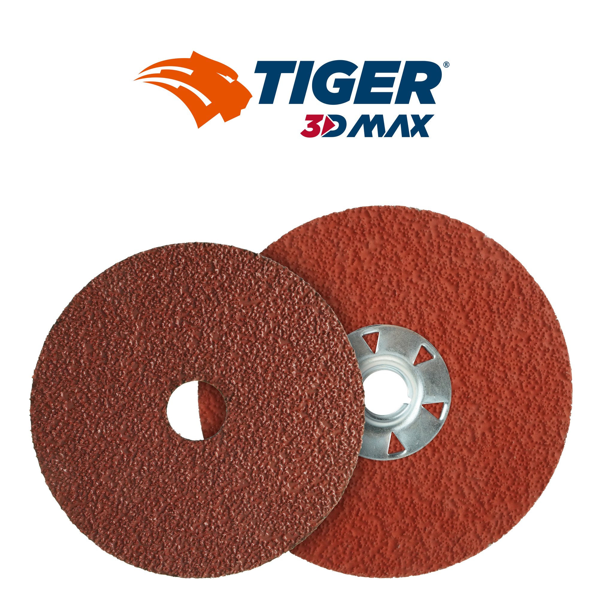 Tiger-3DMAX-Group-W-Logo