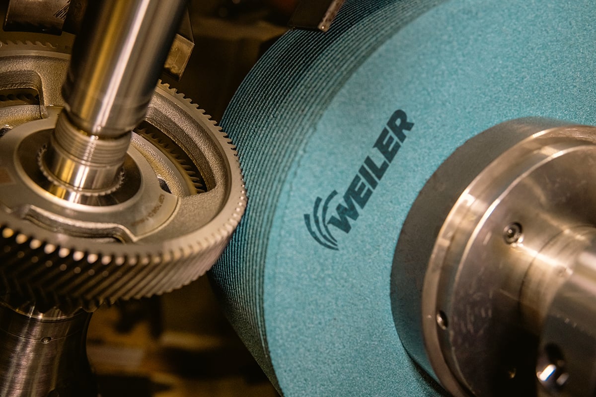 IMG_4774-logo._webjpg